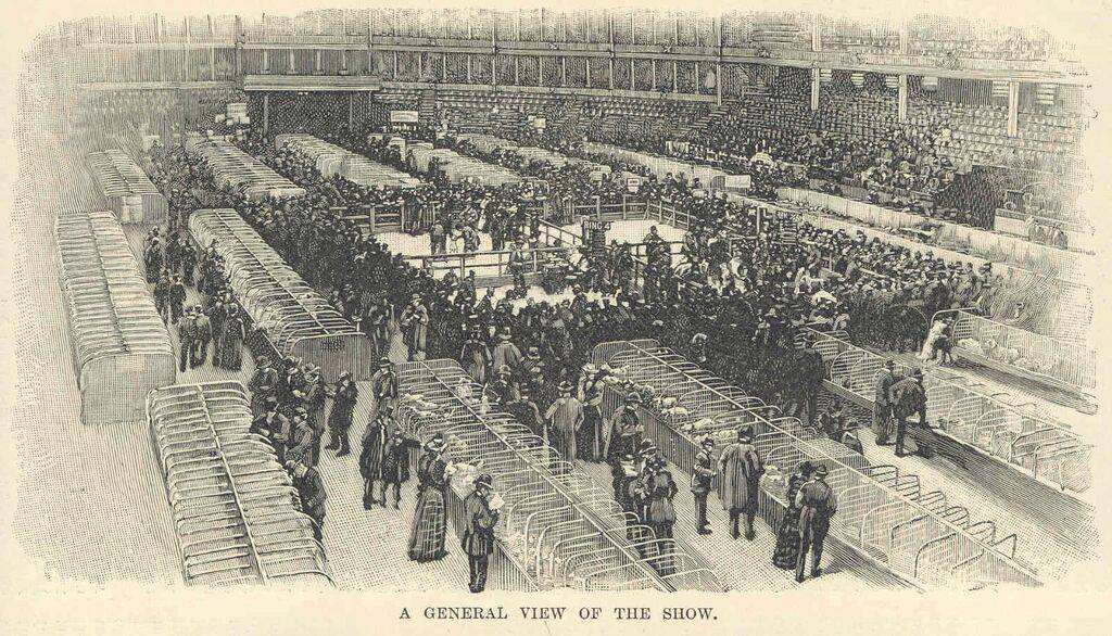 Westminster: A Look Back